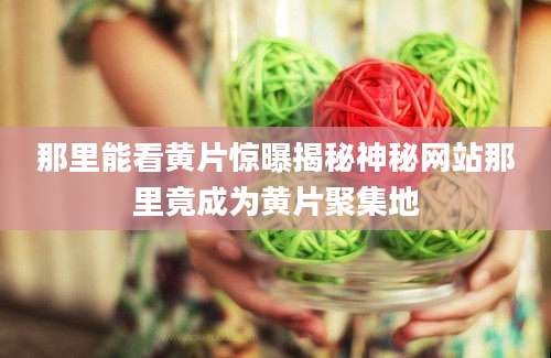 那里能看黄片惊曝揭秘神秘网站那里竟成为黄片聚集地