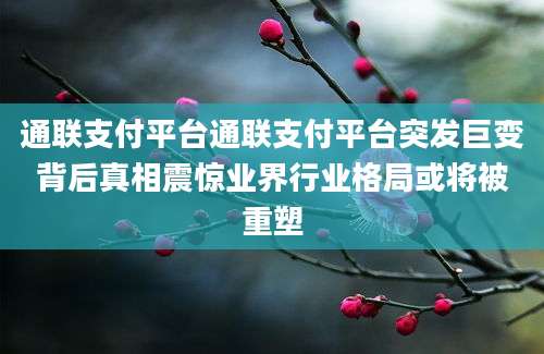 通联支付平台通联支付平台突发巨变背后真相震惊业界行业格局或将被重塑