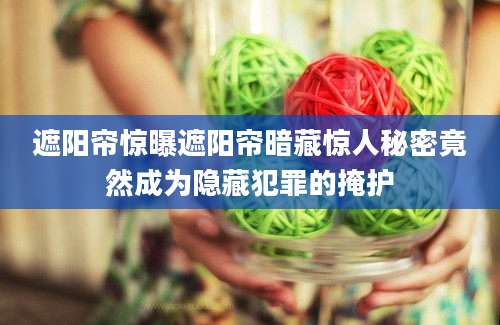 遮阳帘惊曝遮阳帘暗藏惊人秘密竟然成为隐藏犯罪的掩护