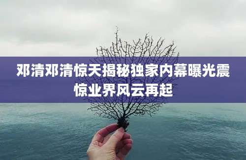 邓清邓清惊天揭秘独家内幕曝光震惊业界风云再起