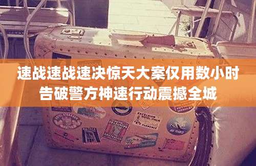 速战速战速决惊天大案仅用数小时告破警方神速行动震撼全城