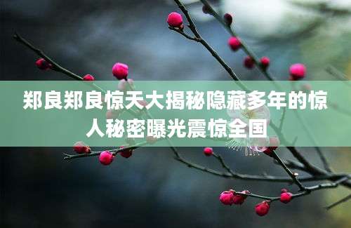郑良郑良惊天大揭秘隐藏多年的惊人秘密曝光震惊全国
