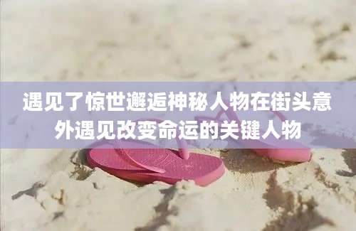遇见了惊世邂逅神秘人物在街头意外遇见改变命运的关键人物