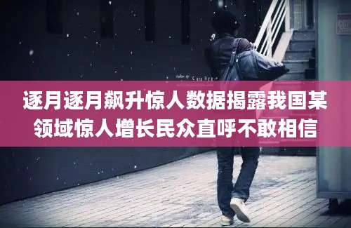 逐月逐月飙升惊人数据揭露我国某领域惊人增长民众直呼不敢相信