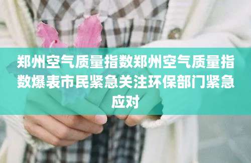 郑州空气质量指数郑州空气质量指数爆表市民紧急关注环保部门紧急应对