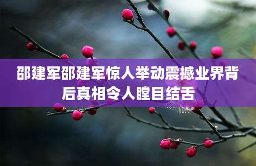 邵建军邵建军惊人举动震撼业界背后真相令人瞠目结舌
