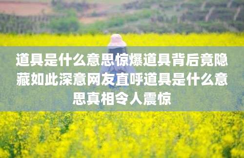 道具是什么意思惊爆道具背后竟隐藏如此深意网友直呼道具是什么意思真相令人震惊