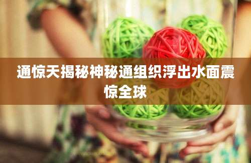 通惊天揭秘神秘通组织浮出水面震惊全球