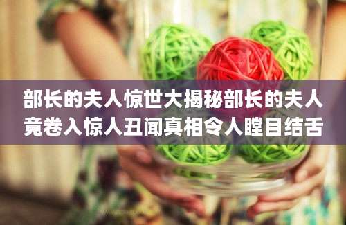部长的夫人惊世大揭秘部长的夫人竟卷入惊人丑闻真相令人瞠目结舌