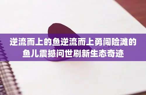 逆流而上的鱼逆流而上勇闯险滩的鱼儿震撼问世刷新生态奇迹