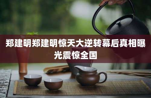 郑建明郑建明惊天大逆转幕后真相曝光震惊全国