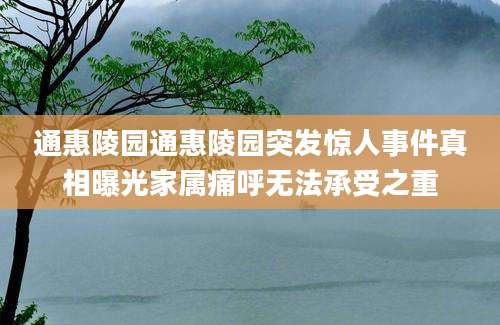 通惠陵园通惠陵园突发惊人事件真相曝光家属痛呼无法承受之重
