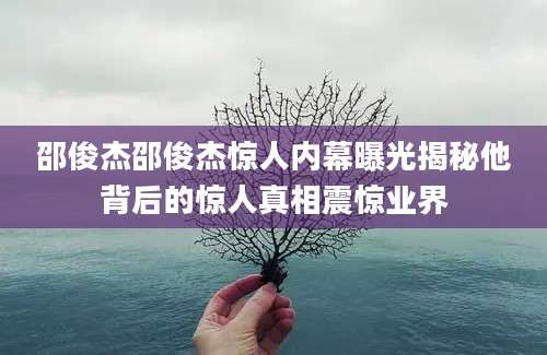 邵俊杰邵俊杰惊人内幕曝光揭秘他背后的惊人真相震惊业界