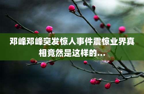 邓峰邓峰突发惊人事件震惊业界真相竟然是这样的...