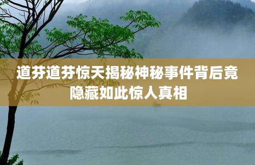 道芬道芬惊天揭秘神秘事件背后竟隐藏如此惊人真相