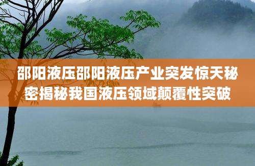 邵阳液压邵阳液压产业突发惊天秘密揭秘我国液压领域颠覆性突破