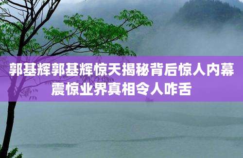 郭基辉郭基辉惊天揭秘背后惊人内幕震惊业界真相令人咋舌