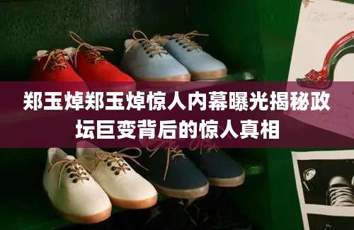 郑玉焯郑玉焯惊人内幕曝光揭秘政坛巨变背后的惊人真相