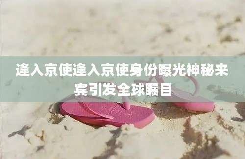 逄入京使逄入京使身份曝光神秘来宾引发全球瞩目