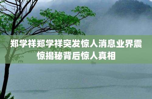 郑学祥郑学祥突发惊人消息业界震惊揭秘背后惊人真相