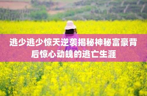 逃少逃少惊天逆袭揭秘神秘富豪背后惊心动魄的逃亡生涯