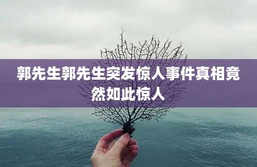 郭先生郭先生突发惊人事件真相竟然如此惊人