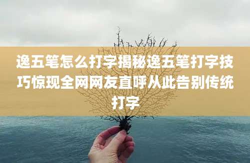 逸五笔怎么打字揭秘逸五笔打字技巧惊现全网网友直呼从此告别传统打字