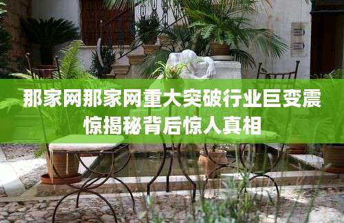 那家网那家网重大突破行业巨变震惊揭秘背后惊人真相