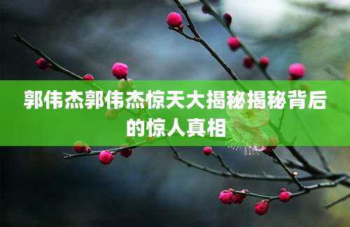 郭伟杰郭伟杰惊天大揭秘揭秘背后的惊人真相