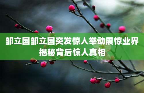 邹立国邹立国突发惊人举动震惊业界揭秘背后惊人真相