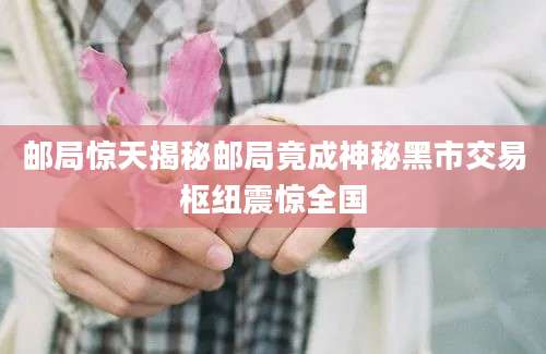 邮局惊天揭秘邮局竟成神秘黑市交易枢纽震惊全国