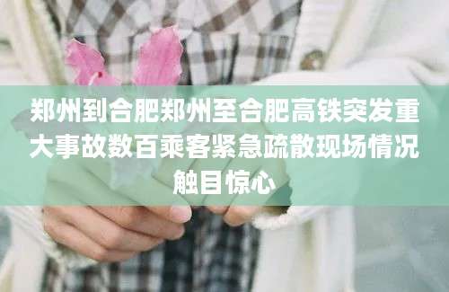 郑州到合肥郑州至合肥高铁突发重大事故数百乘客紧急疏散现场情况触目惊心