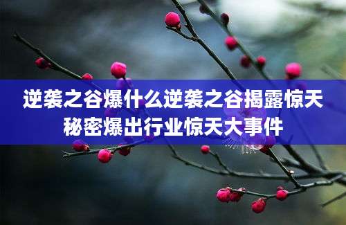 逆袭之谷爆什么逆袭之谷揭露惊天秘密爆出行业惊天大事件