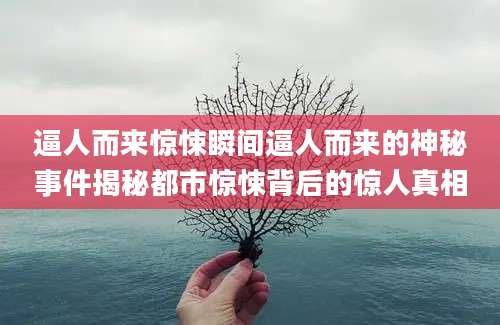 逼人而来惊悚瞬间逼人而来的神秘事件揭秘都市惊悚背后的惊人真相