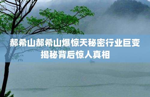 郝希山郝希山爆惊天秘密行业巨变揭秘背后惊人真相