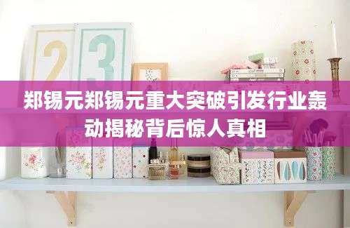 郑锡元郑锡元重大突破引发行业轰动揭秘背后惊人真相