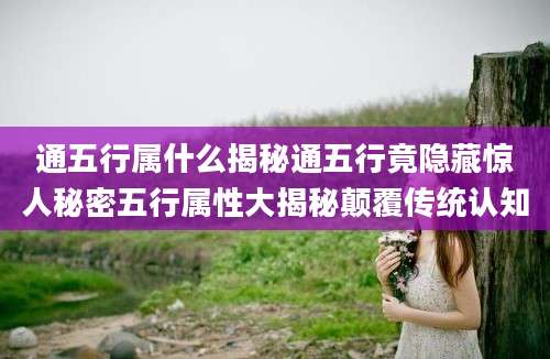 通五行属什么揭秘通五行竟隐藏惊人秘密五行属性大揭秘颠覆传统认知