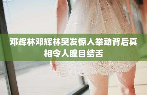 邓辉林邓辉林突发惊人举动背后真相令人瞠目结舌