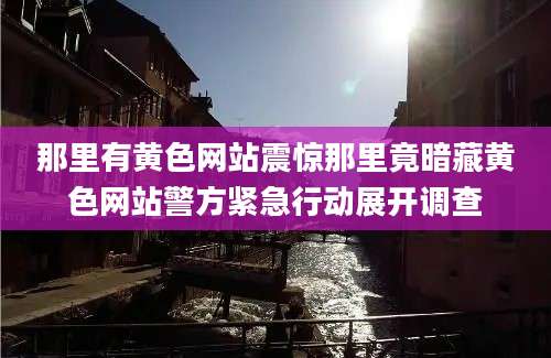 那里有黄色网站震惊那里竟暗藏黄色网站警方紧急行动展开调查