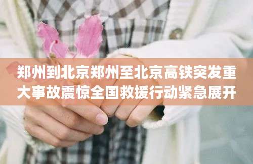 郑州到北京郑州至北京高铁突发重大事故震惊全国救援行动紧急展开