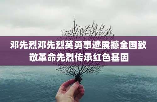 邓先烈邓先烈英勇事迹震撼全国致敬革命先烈传承红色基因
