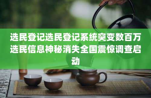 选民登记选民登记系统突变数百万选民信息神秘消失全国震惊调查启动