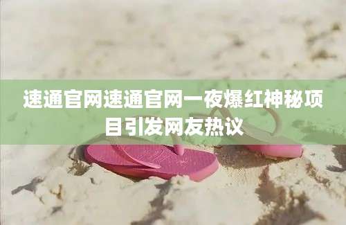 速通官网速通官网一夜爆红神秘项目引发网友热议