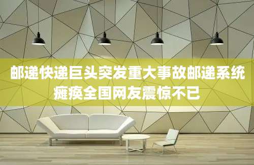 邮递快递巨头突发重大事故邮递系统瘫痪全国网友震惊不已