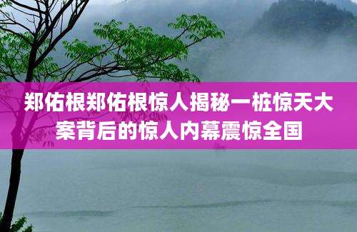 郑佑根郑佑根惊人揭秘一桩惊天大案背后的惊人内幕震惊全国