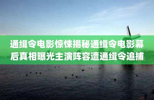 通缉令电影惊悚揭秘通缉令电影幕后真相曝光主演阵容遭通缉令追捕
