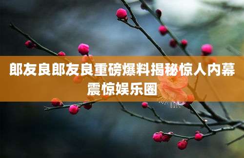 郎友良郎友良重磅爆料揭秘惊人内幕震惊娱乐圈