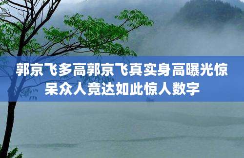 郭京飞多高郭京飞真实身高曝光惊呆众人竟达如此惊人数字