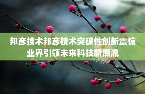 邦彦技术邦彦技术突破性创新震惊业界引领未来科技新潮流