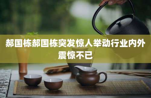 郝国栋郝国栋突发惊人举动行业内外震惊不已